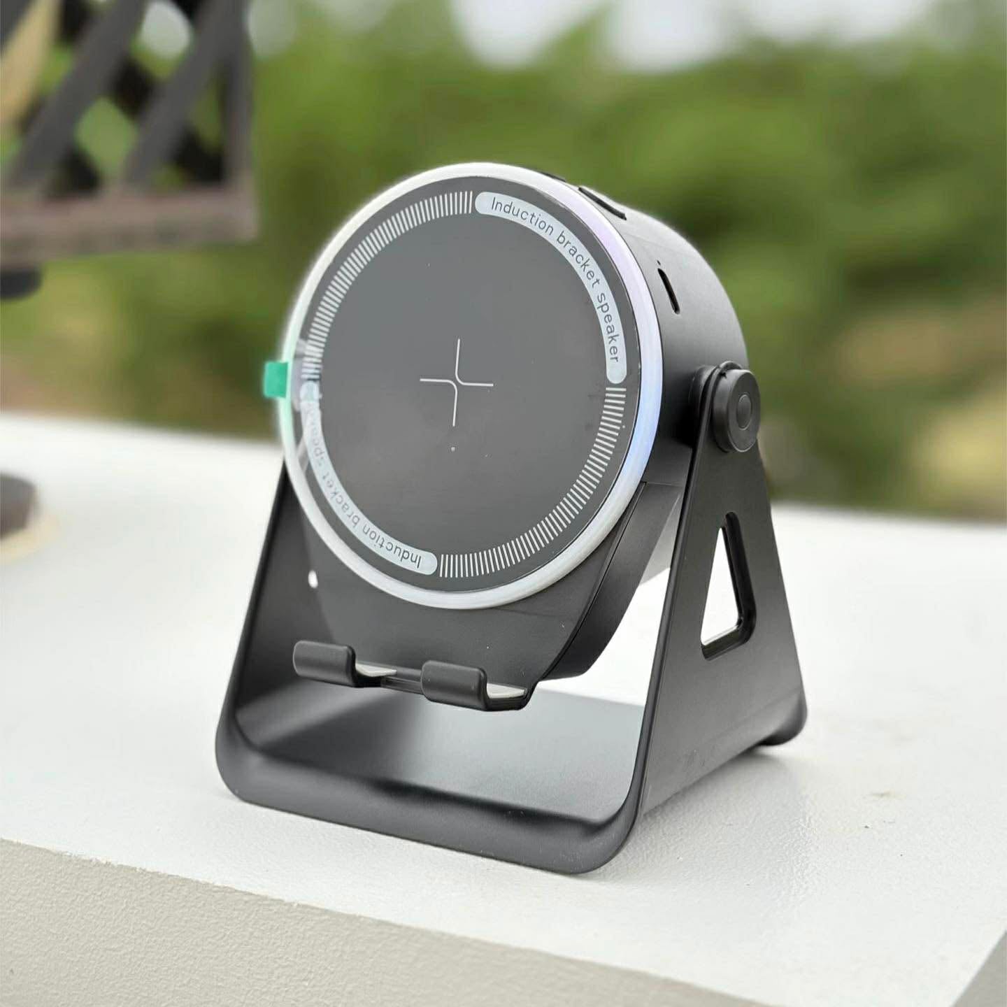 USA MADE INDUCTION SPEAKER